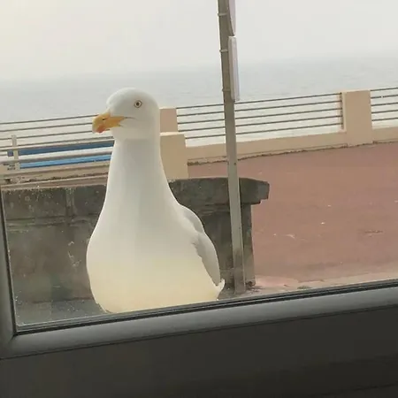 Bagatelle Vue Mer, A 2mn A Pied De La Et Du Centre Apartment