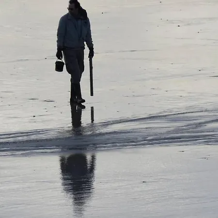 Bagatelle Vue Mer, A 2mn A Pied De La Et Du Centre